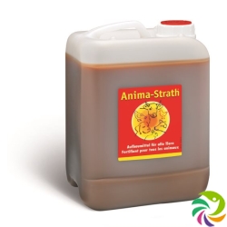 Anima Strath Aufbaumittel 5 Liter