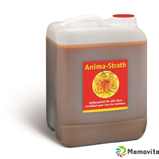 Anima Strath Aufbaumittel 5 Liter buy online