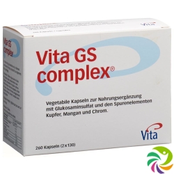 Vita GS Complex Glukosaminsulfat Kapseln 260 Stück