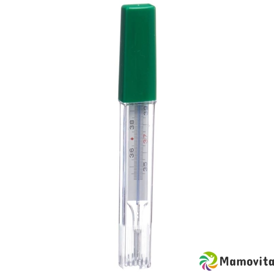 Gribi mercury-free clinical thermometer with case buy online