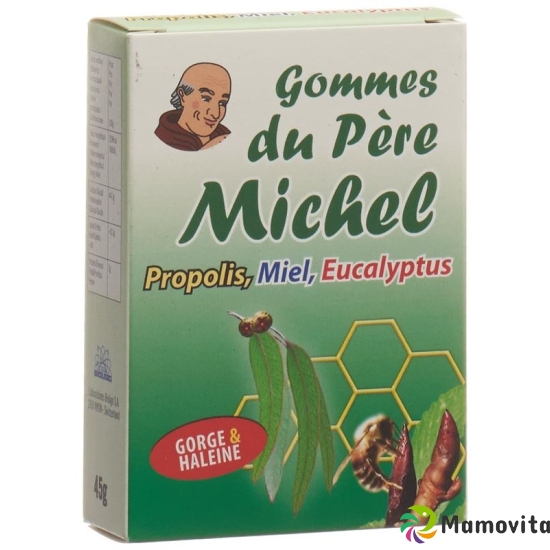 Bioligo Gommes Du Pere Michel Eucalyptus Dose 45g buy online