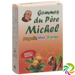 Bioligo Gommes Du Pere Michel Orange Dose 45g