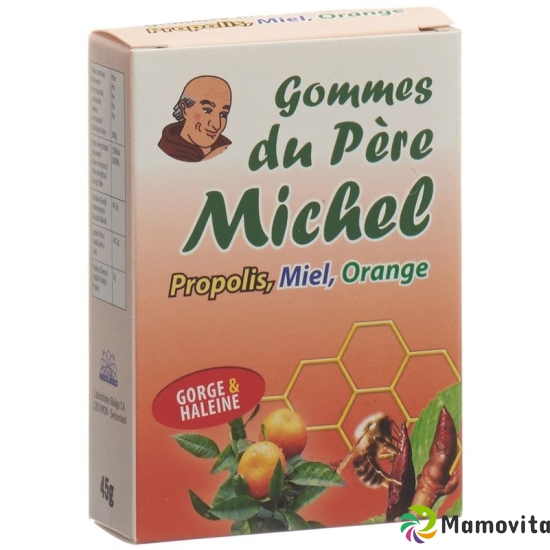 Bioligo Gommes Du Pere Michel Orange Dose 45g buy online