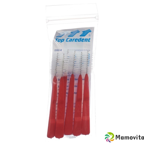 Top Caredent IDBG-R Interdentalbürsten Griff Rot 6 Stück buy online