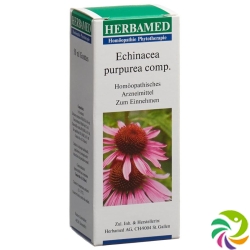 Echinacea Comp Tropfen 50ml