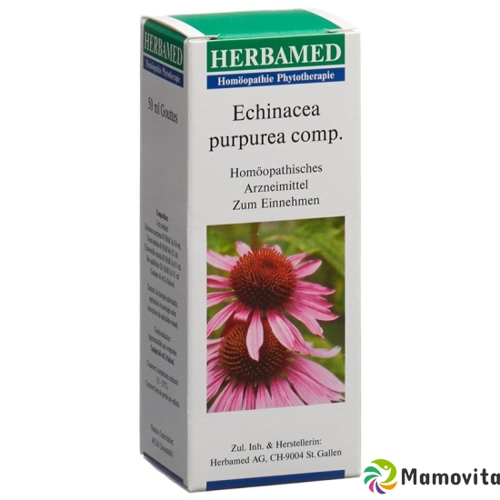 Echinacea Comp Tropfen 50ml buy online