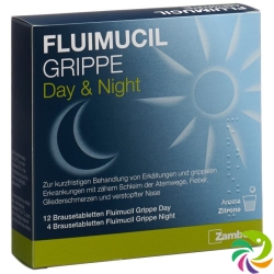 Fluimucil Grippe Day Night 16 Brausetabletten