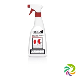 Recozit Ungeziefer Pumpspray 500ml