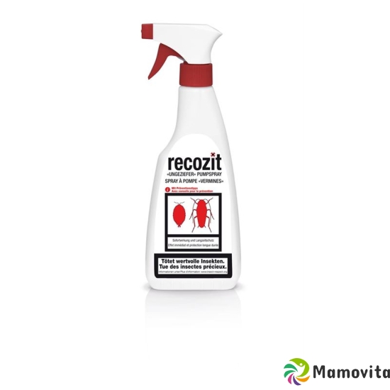 Recozit Ungeziefer Pumpspray 500ml buy online