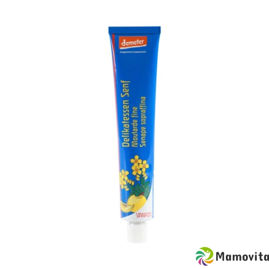 Vanadis Delikatess Senf Tube 100ml buy online