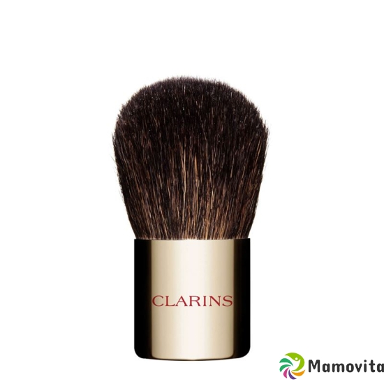 Clarins Le Pinceau buy online