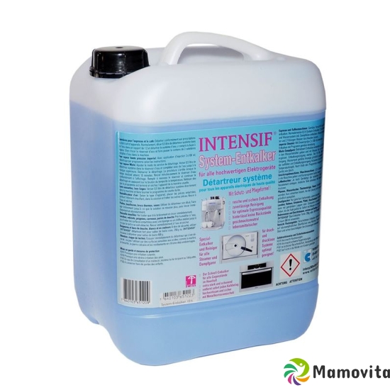 Intensif System-Entkalker Liquid 10kg buy online