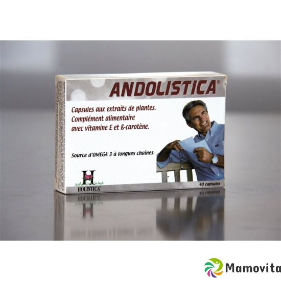 Holistica Andolistica Kapseln 40 Stück buy online