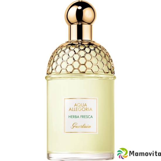 Guerlain Allegor Eau de Toilette Herba Spray 125ml buy online