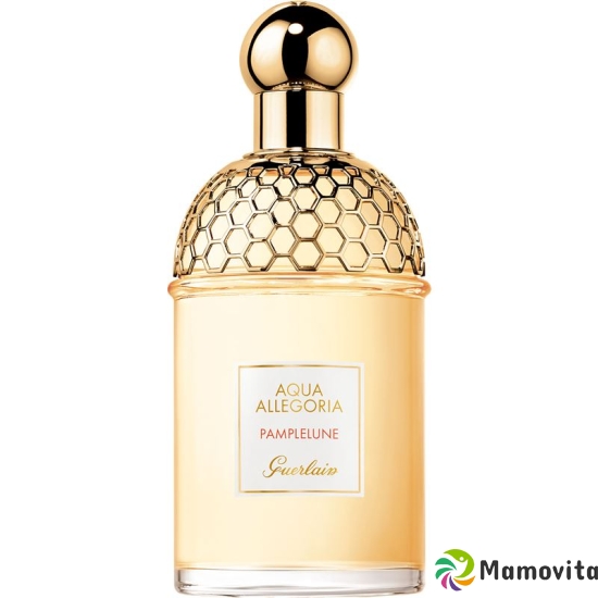 Guerlain Allegor Eau de Toilette Pamplelune Spray 125ml buy online