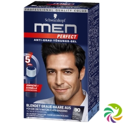 Men Perfect Tint 90 Natural Black