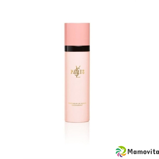 Ysl Paris Deo Spray 100ml buy online