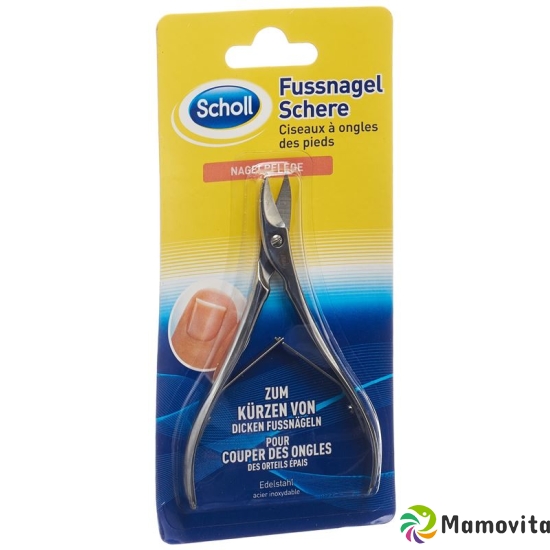 Scholl Excellence toenail scissors buy online