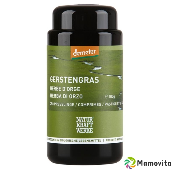 Naturkraftwerke Gerstengras Tabletten Demeter 250 Stück buy online