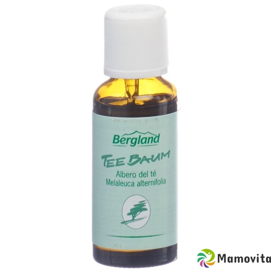 Bergland Teebaum-Öl 30ml buy online