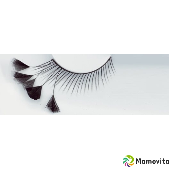 Stargazer Eyelashes S44 2 pieces buy online