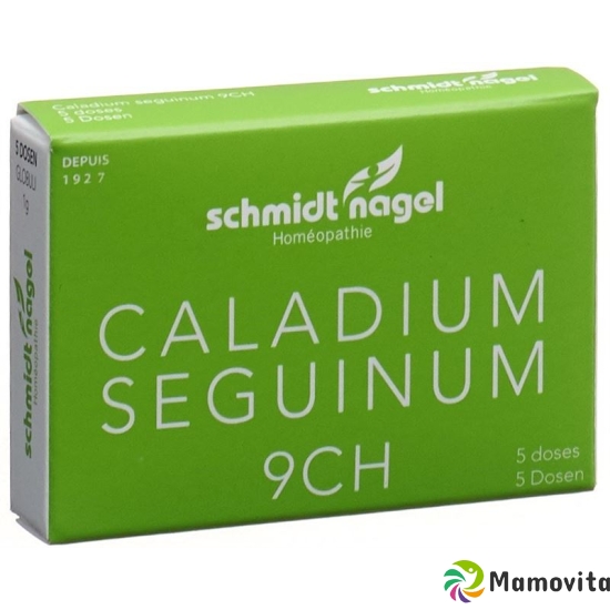 Sn Caladium Seguinum Globuli Ch 9 5x 1g buy online