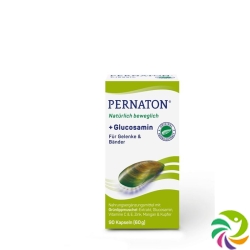 Pernaton Plus Glucosamine Capsules Can 90 pieces