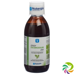 Nutergia Ergydesmodium Flasche 250ml