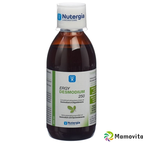 Nutergia Ergydesmodium Flasche 250ml buy online