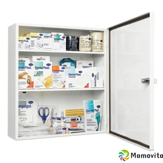 IVF Hausapo Metal Cabinet Filled buy online