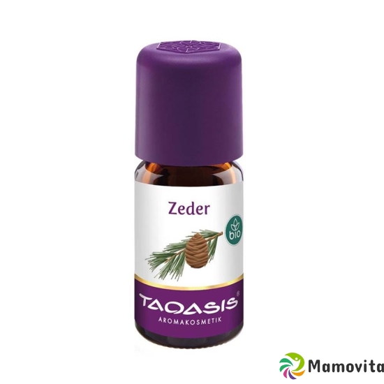 Taoasis Zeder Ätherisches Öl Bio 5ml buy online