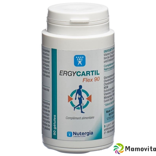 Nutergia Ergycartil Plus Gelules 90 Stück buy online