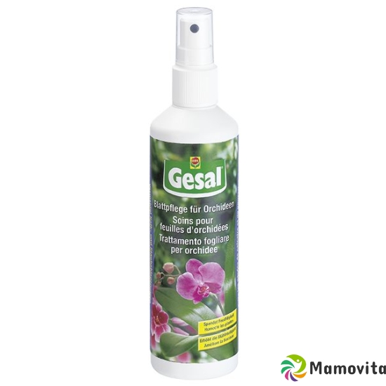 Gesal Blattpflege Orchideen Spray 250ml buy online