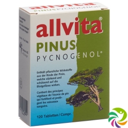 Allvita Pinus Pycnogenol tbl 120 pcs