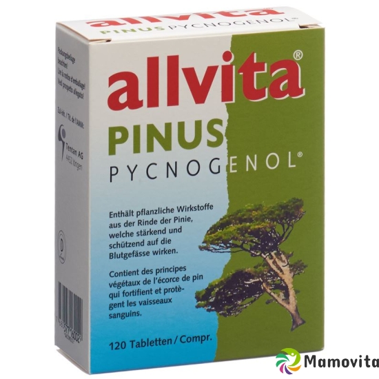 Allvita Pinus Pycnogenol tbl 120 pcs buy online