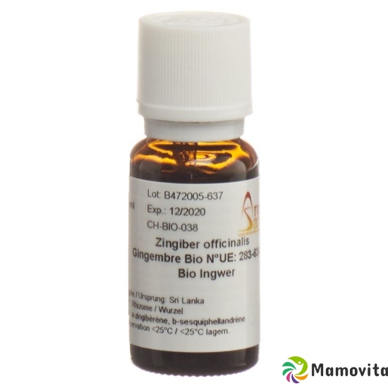 Aromasan Ingwer Ätherisches Öl 15ml buy online