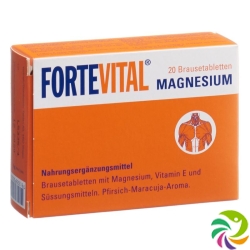 Fortevital Magnesium Brausetabletten 20 Stück