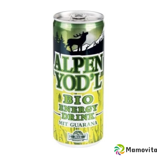 Holderhof Alpen Yodl Energy Drink Bio Dose 250ml buy online