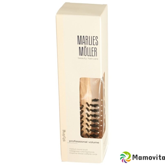 Moeller Brush Round Brush Medium buy online