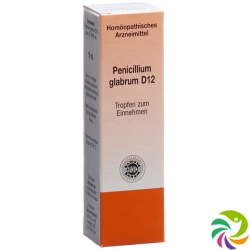 Sanum Penicillium Glabrum Tropfen D 12 10ml