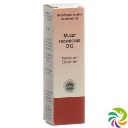 Sanum Mucor Racemosus Tropfen D 12 10ml