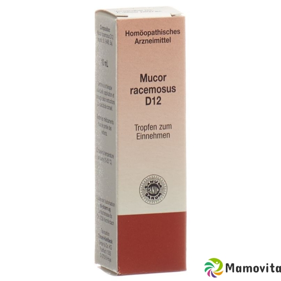 Sanum Mucor Racemosus Tropfen D 12 10ml buy online