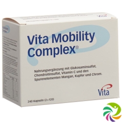 Vita Mobility Complex 240 Kapseln