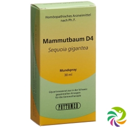 Phytomed Gemmo Mammutbaum Liquid D 4 30ml