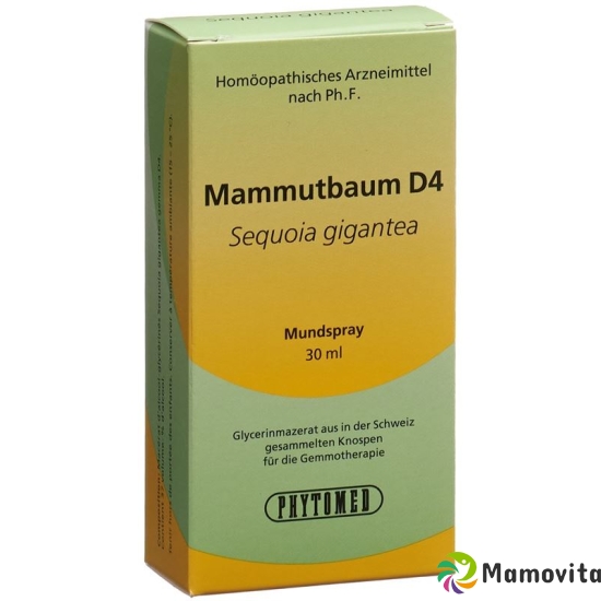 Phytomed Gemmo Mammutbaum Liquid D 4 30ml buy online