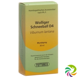 Phytomed Gemmo Wolliger Schneeball Liquid D 4 30ml