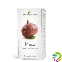 Phytopharma Maca Kapseln 409mg Pflanzlich 80 Stück