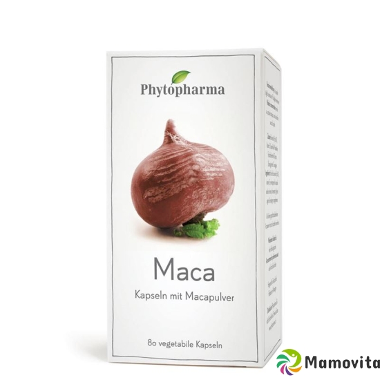 Phytopharma Maca Kapseln 409mg Pflanzlich 80 Stück buy online