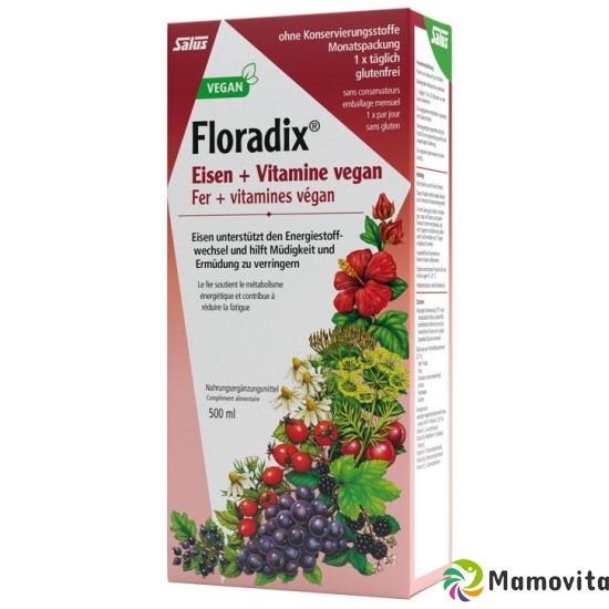 Floradix HA Vitamins + Organic Iron 500 ml buy online