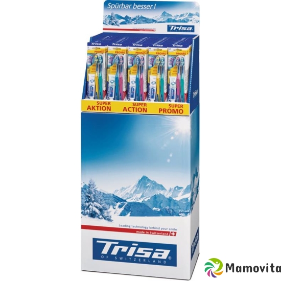 Trisa Flexiblehead Bodendispl Zb Duo Ass 50 Stück buy online